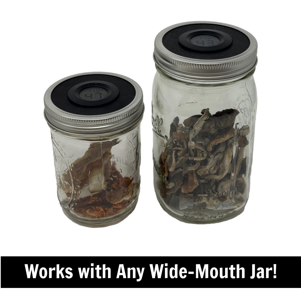 Microppose® Smart Storage Lid – Humidity-Controlled Storage for Mushrooms & Herbs any wide mouth jar
