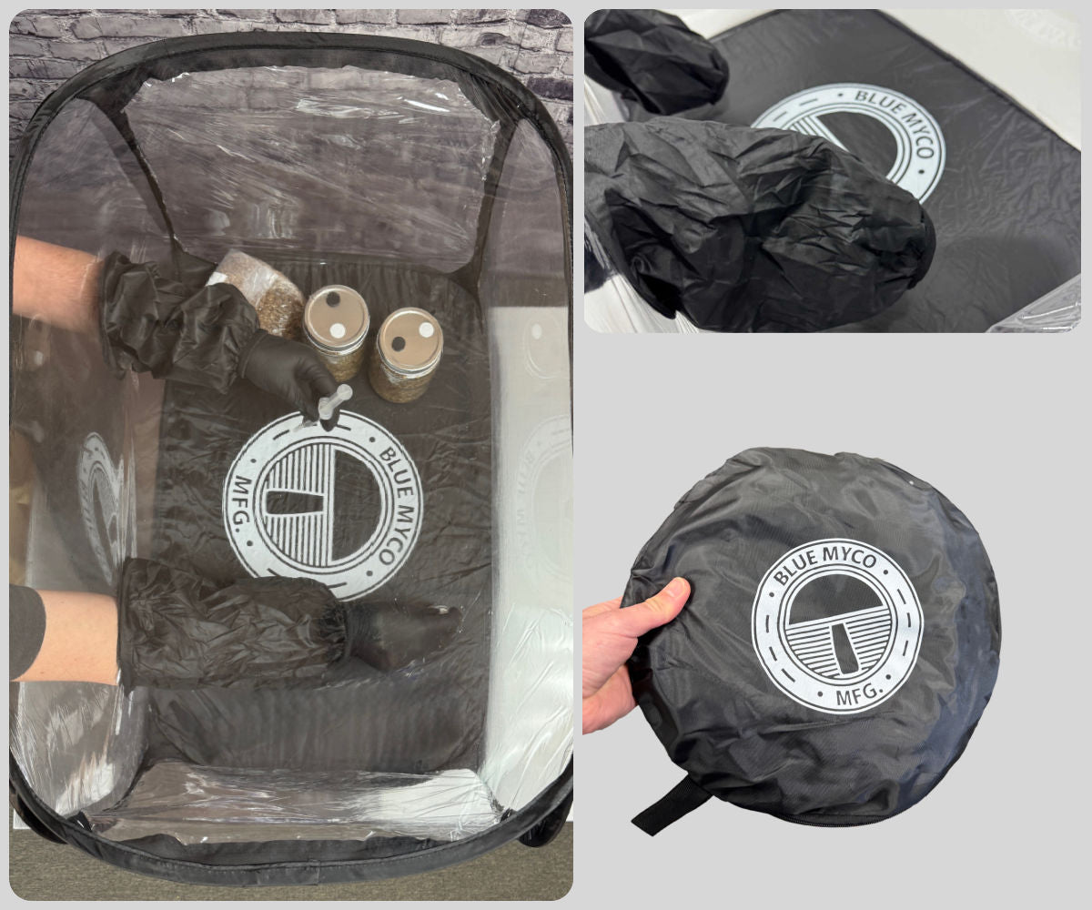 Blue Myco Large Still Air Box (SAB) Sterile Workstation 38" X 20" X 25" collage