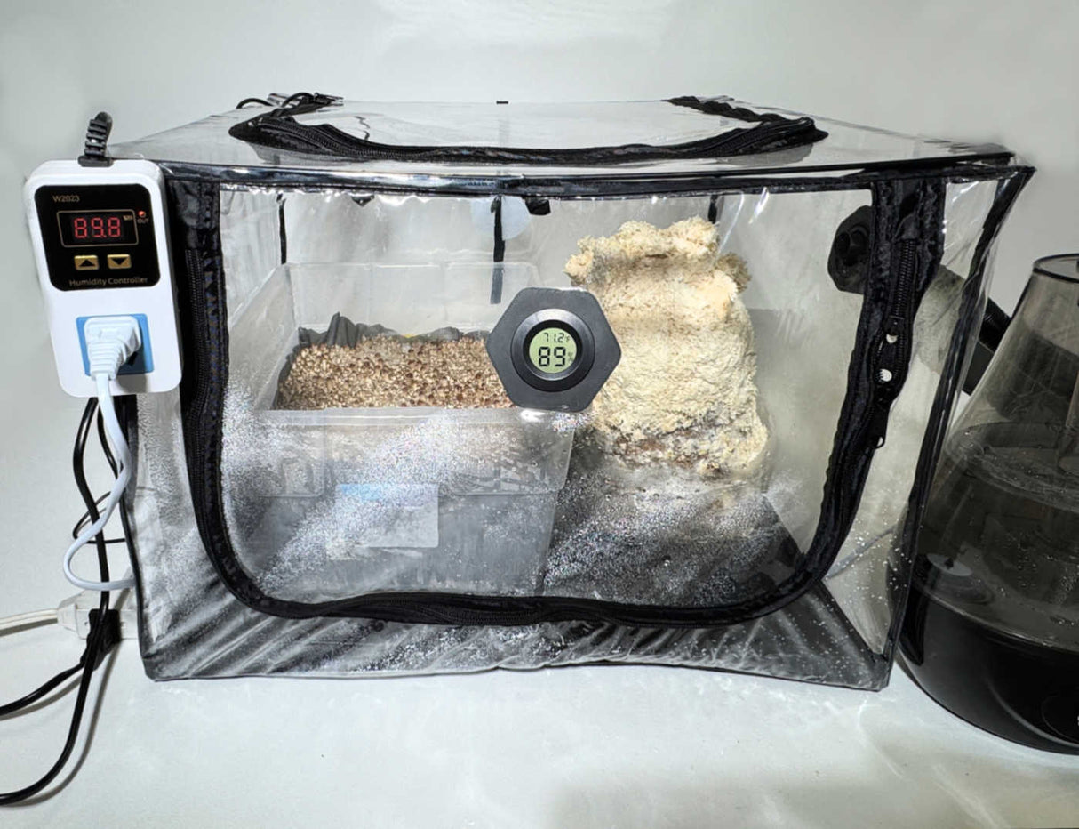 The Tabletop Ecosphere™ – Fully Automated Mushroom Fruiting Chamber close up