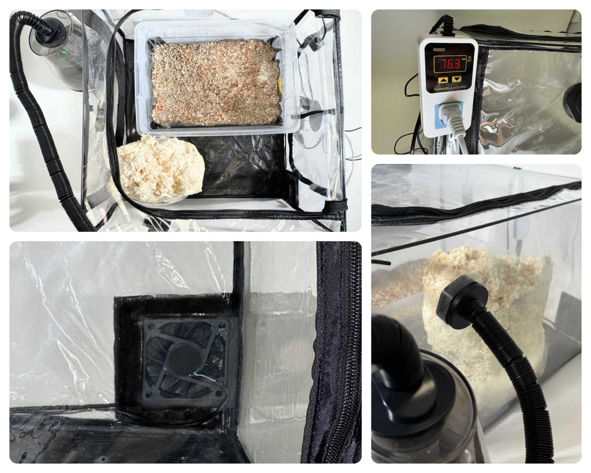 The Tabletop Ecosphere™ – Fully Automated Mushroom Fruiting Chamber collage
