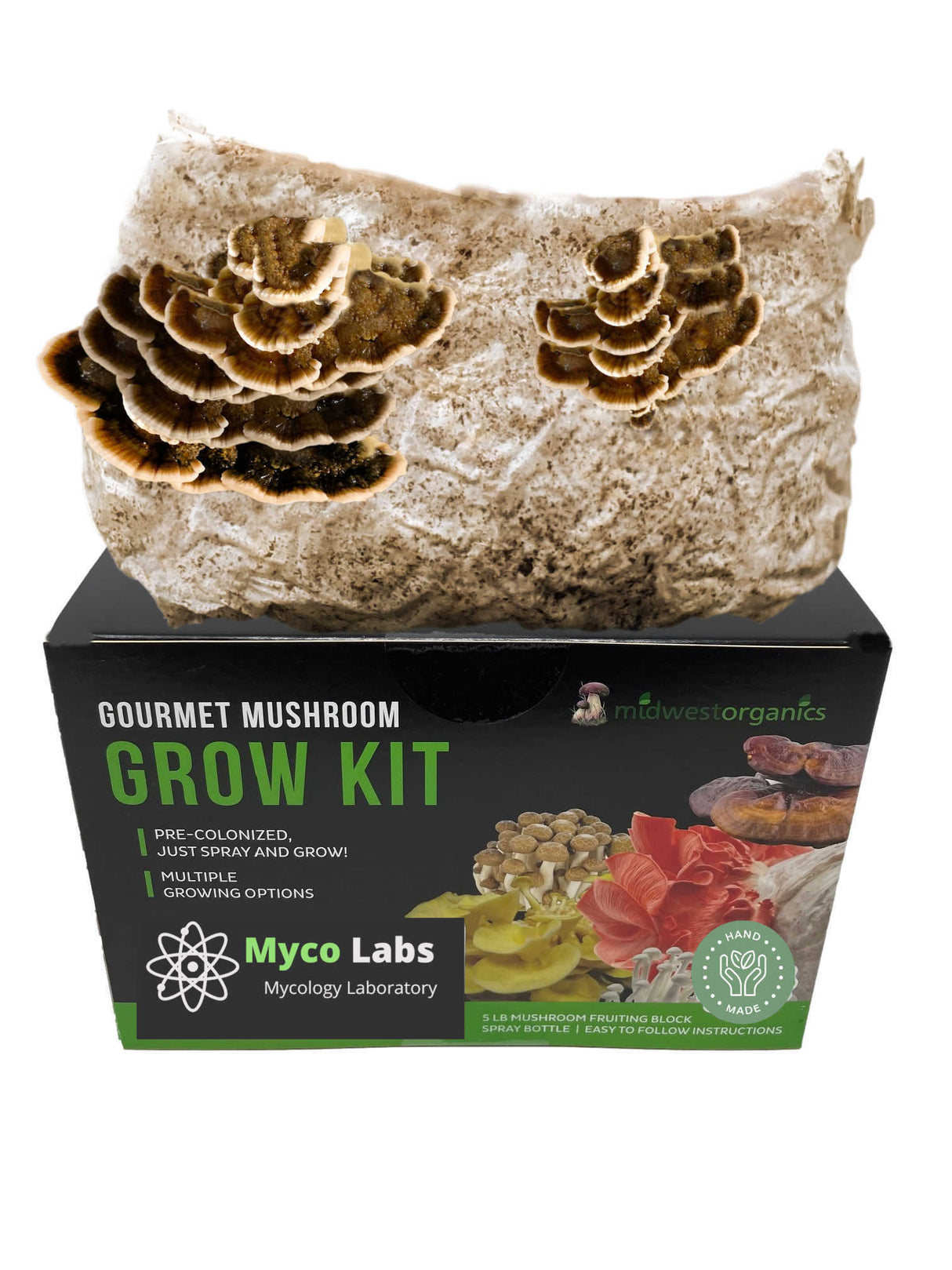 Turkey Tail Mushroom Grow Kit for indoor growing
