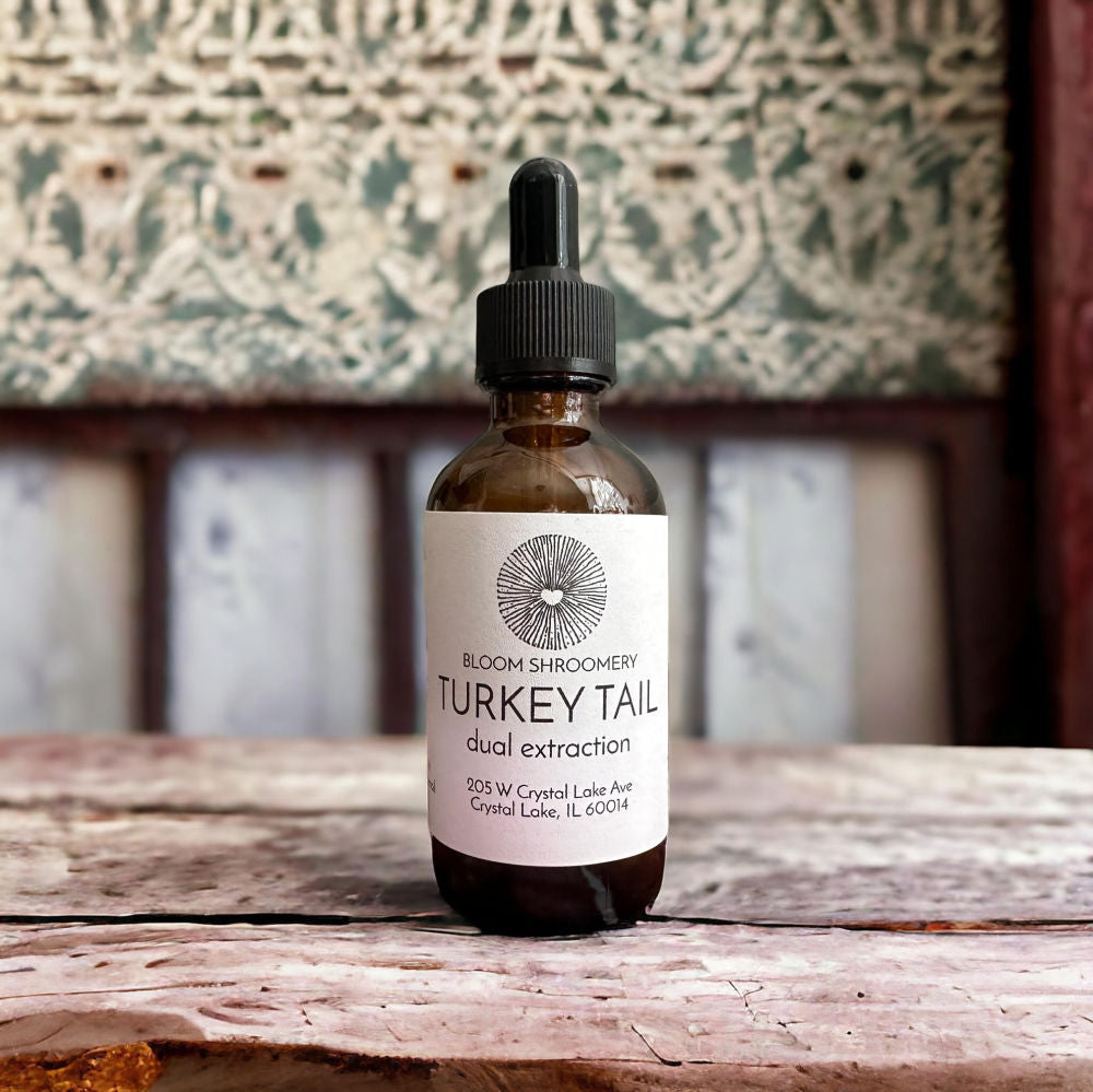 Turkey Tail Dual Extraction Organic Mushroom Tincture
