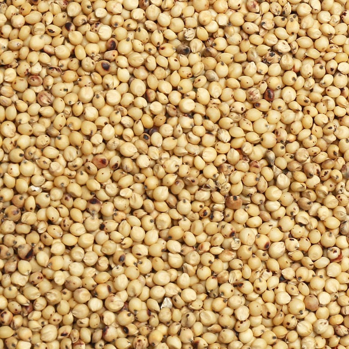 Bulk White Sorghum (Milo) Grain