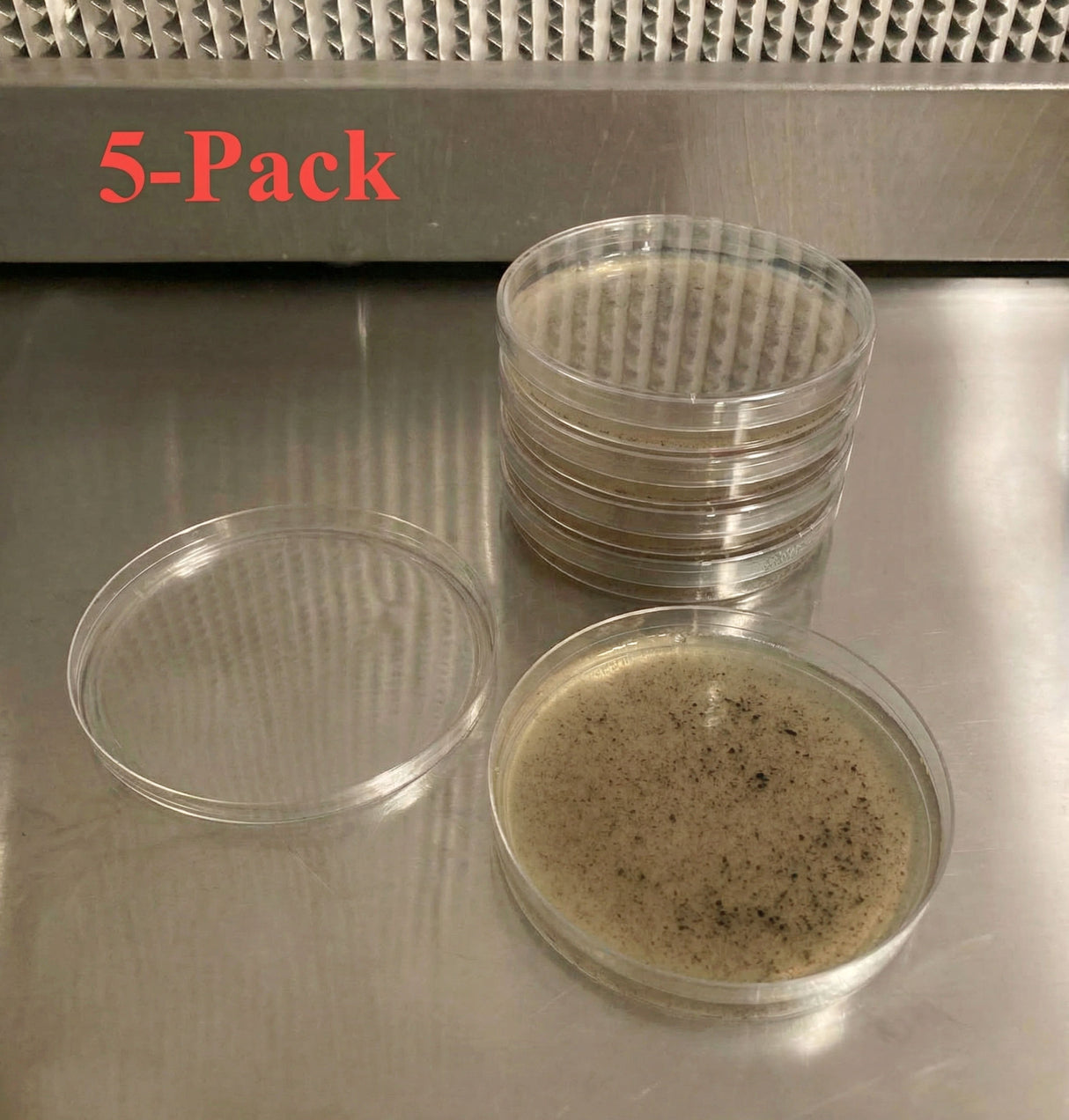 Pre-Poured Willy’s Blend Manure Enriched Agar Plates - Conditioning Agar Plates (5-Pack) - Myco Labs Growing Supplies (Image