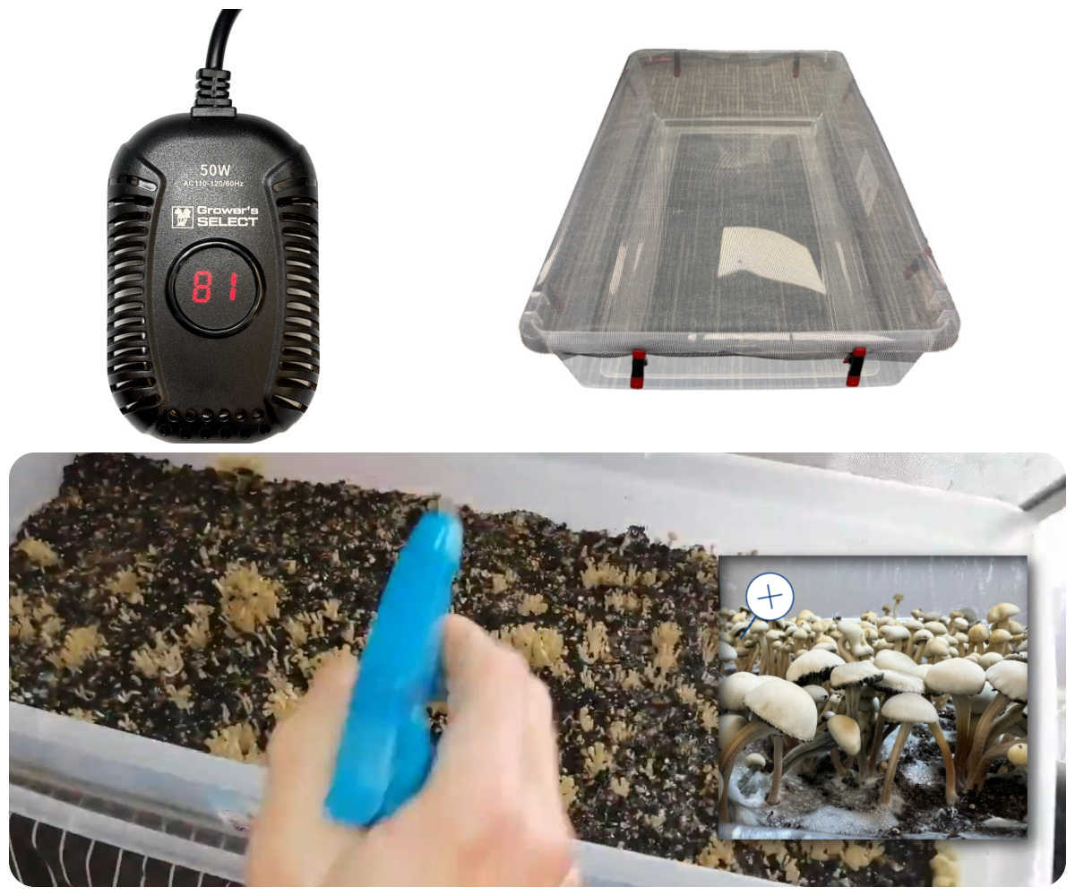 Complete XL Specialty Grass Lover's Bulk Spawn Growing & Casing Kit collage