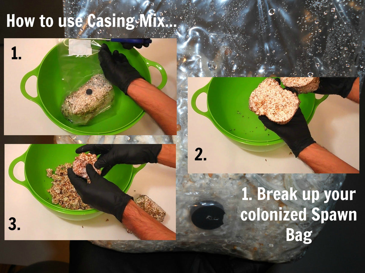 Step-by-step guide on how to use casing mix with images of hands breaking up a spawn bag.