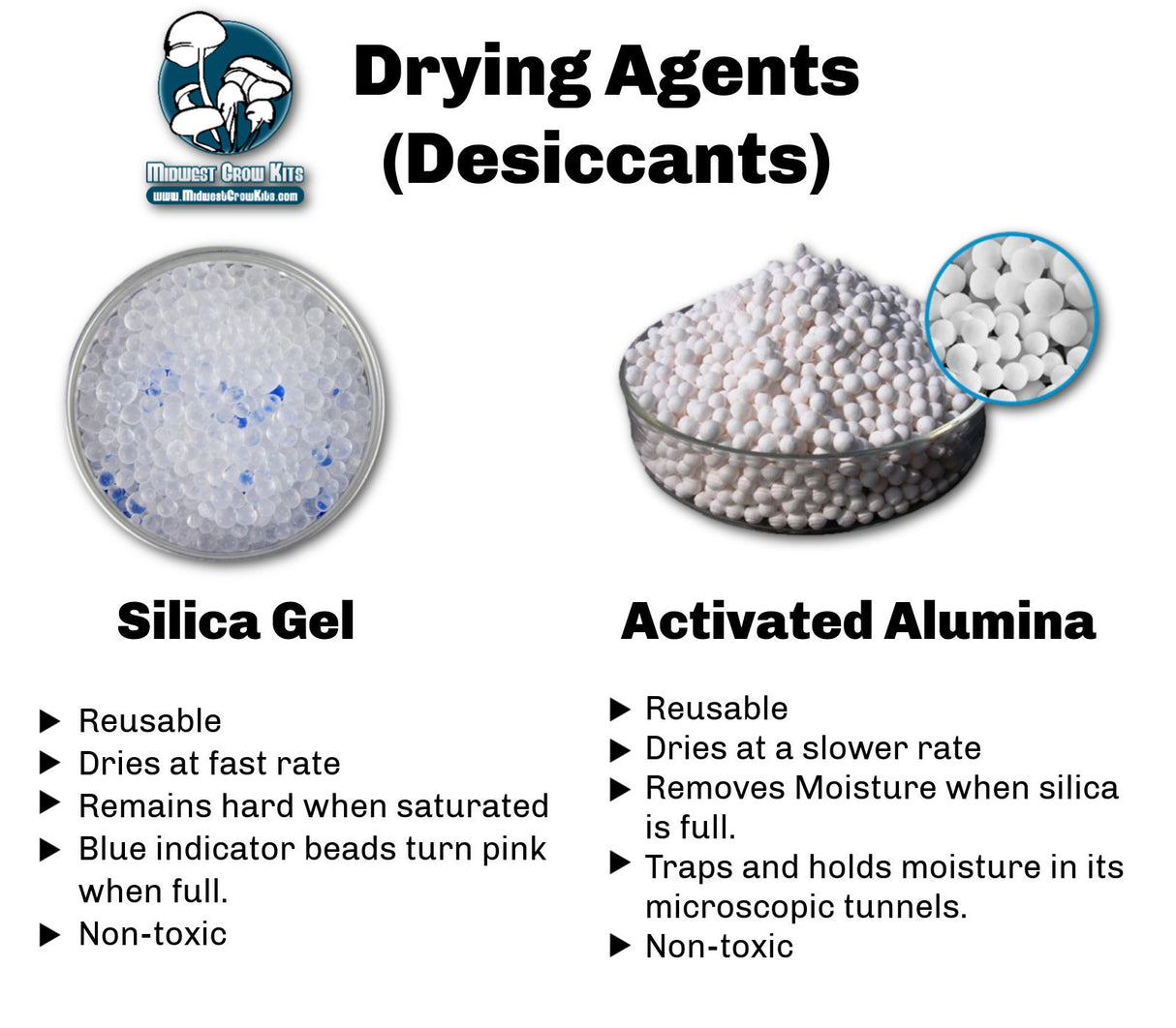 Easy Mushroom Drying