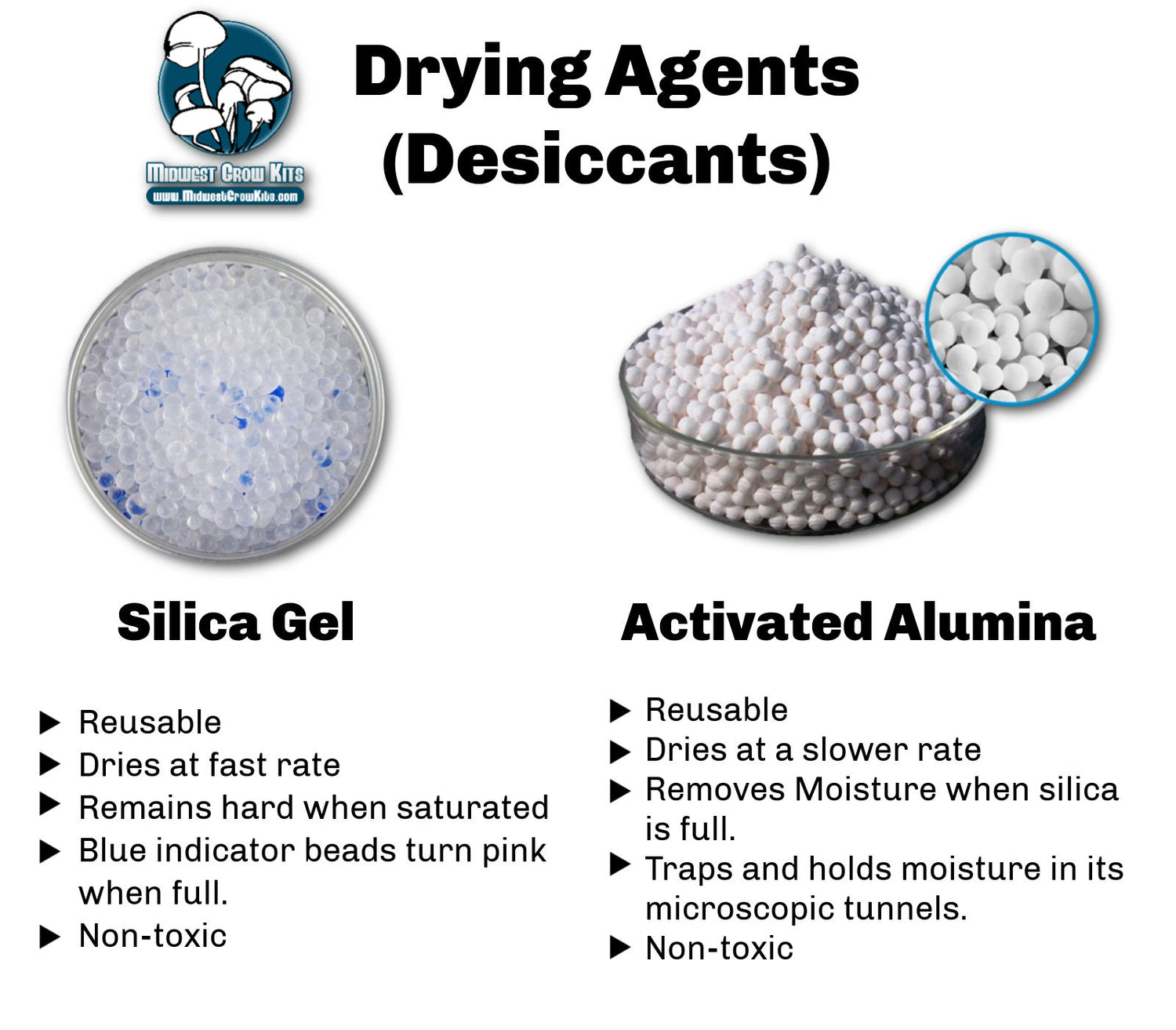 Easy Mushroom Drying