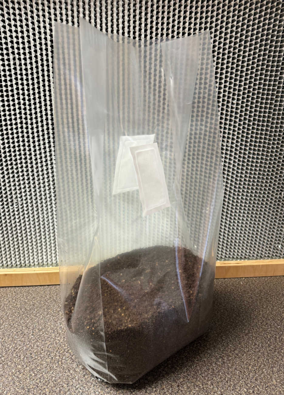 Blue Myco XLS Double Patch Fruiting Bag