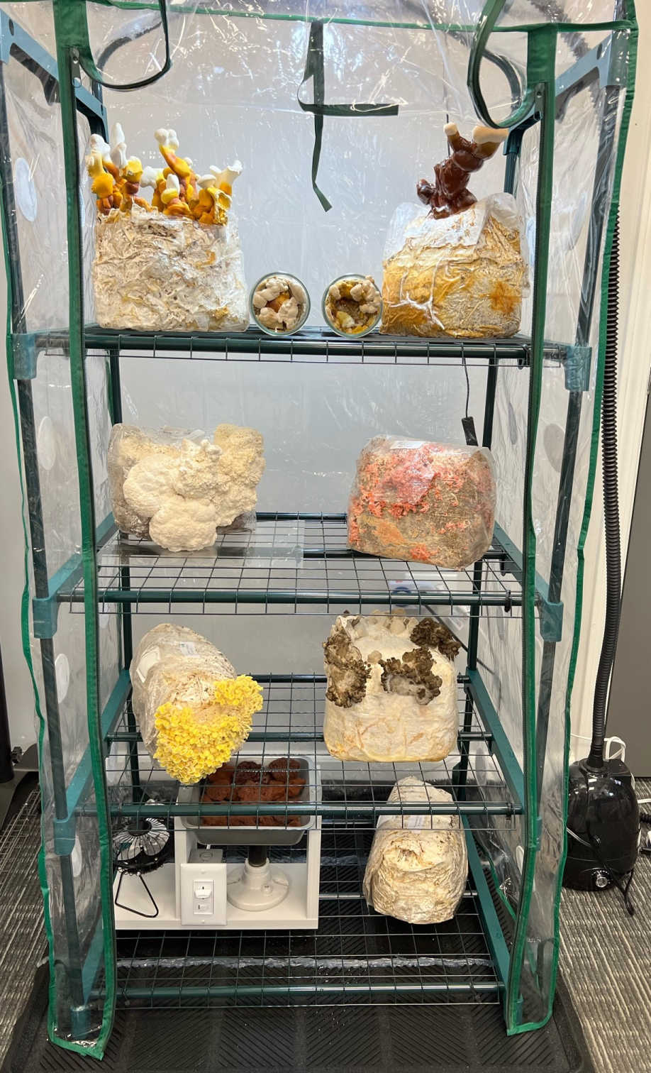 Indoor Greenhouse Heater and Humidity Control Unit