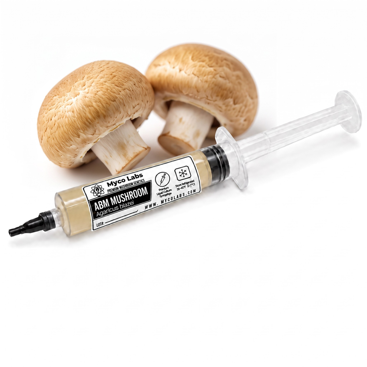 Myco Labs ABM mushroom (Agaricus blazei) liquid culture syringe, 10cc, with fresh ABM mushrooms behind it