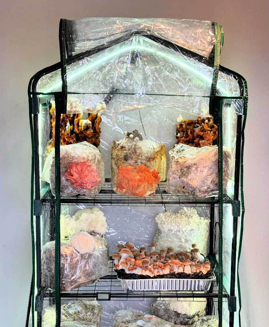 The Monster Monsoon Ecosphere Spawn & Casing Package 3.0 close up