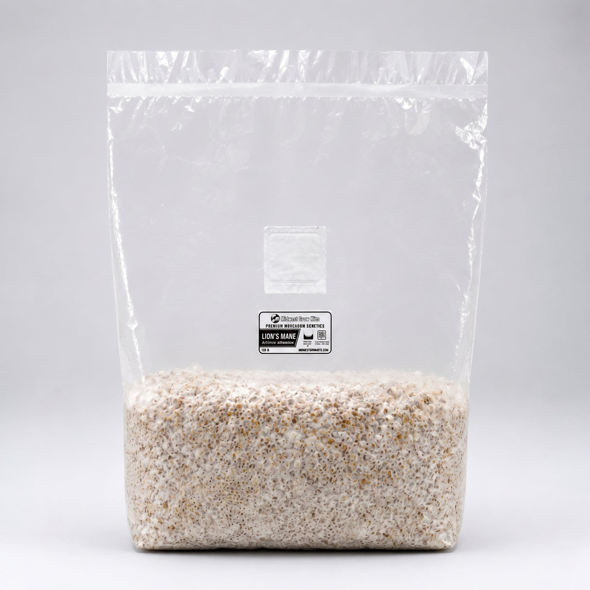 Lions mane grain spawn bag on white counter