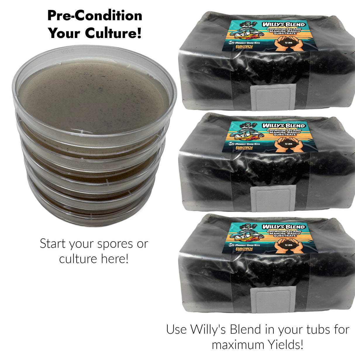 Pre-Poured Willy’s Blend Manure Enriched Agar Plates - Conditioning Agar Plates (5-Pack)