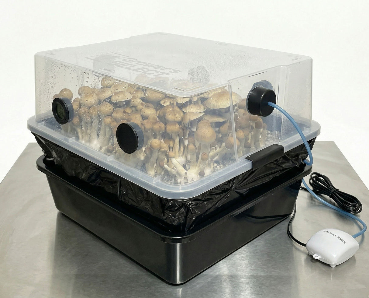 MycoClimate™ 44Q Automated Monotub Mushroom Grow Kit – Temperature & Fresh Air Control (Copy) - Image 3