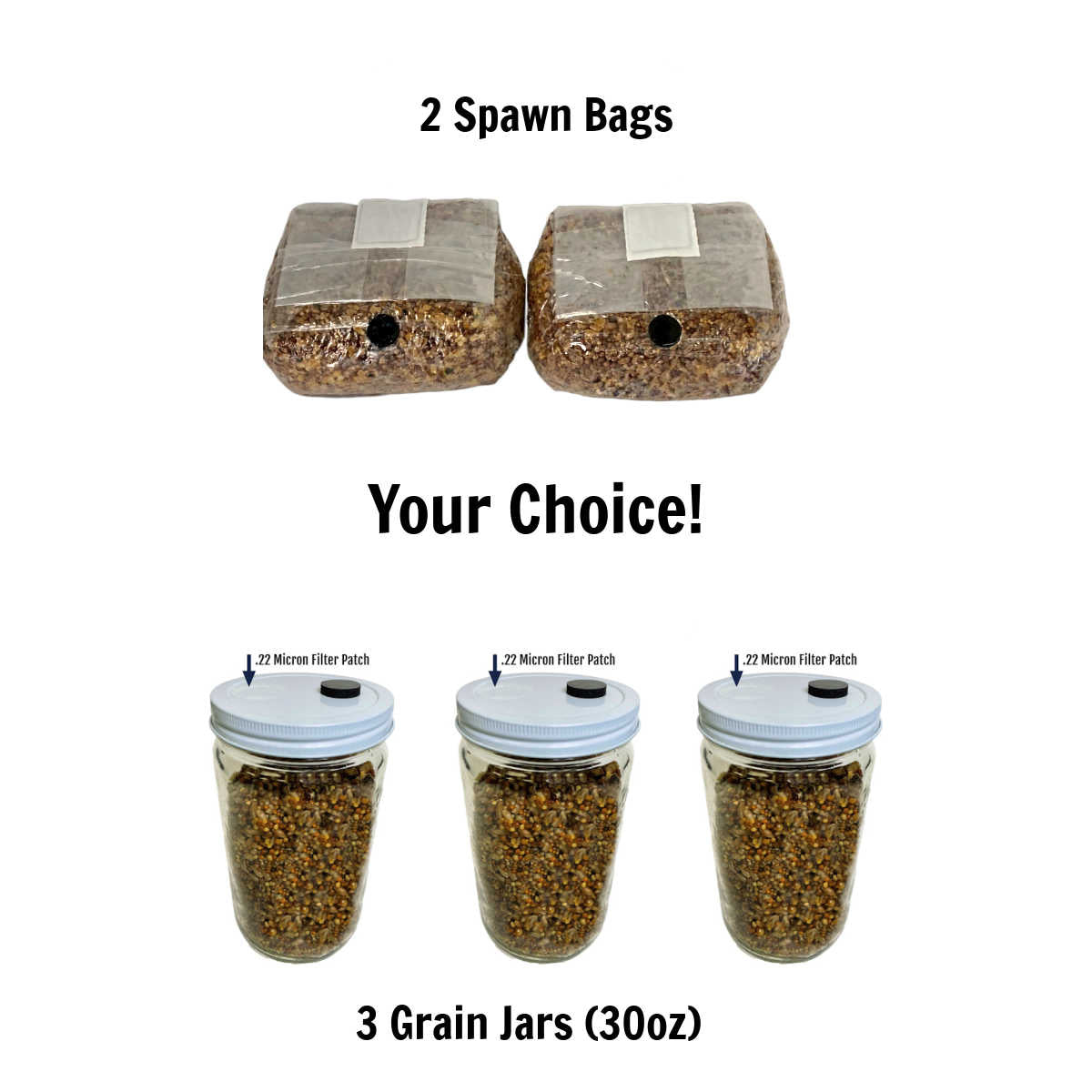 Deluxe Spawn Bag Growing and Casing Kit your choice of grain