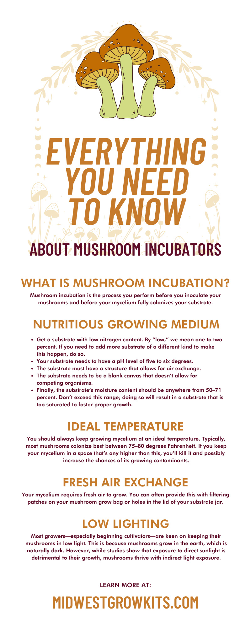 Everything You Need To Know About Mushroom Incubators