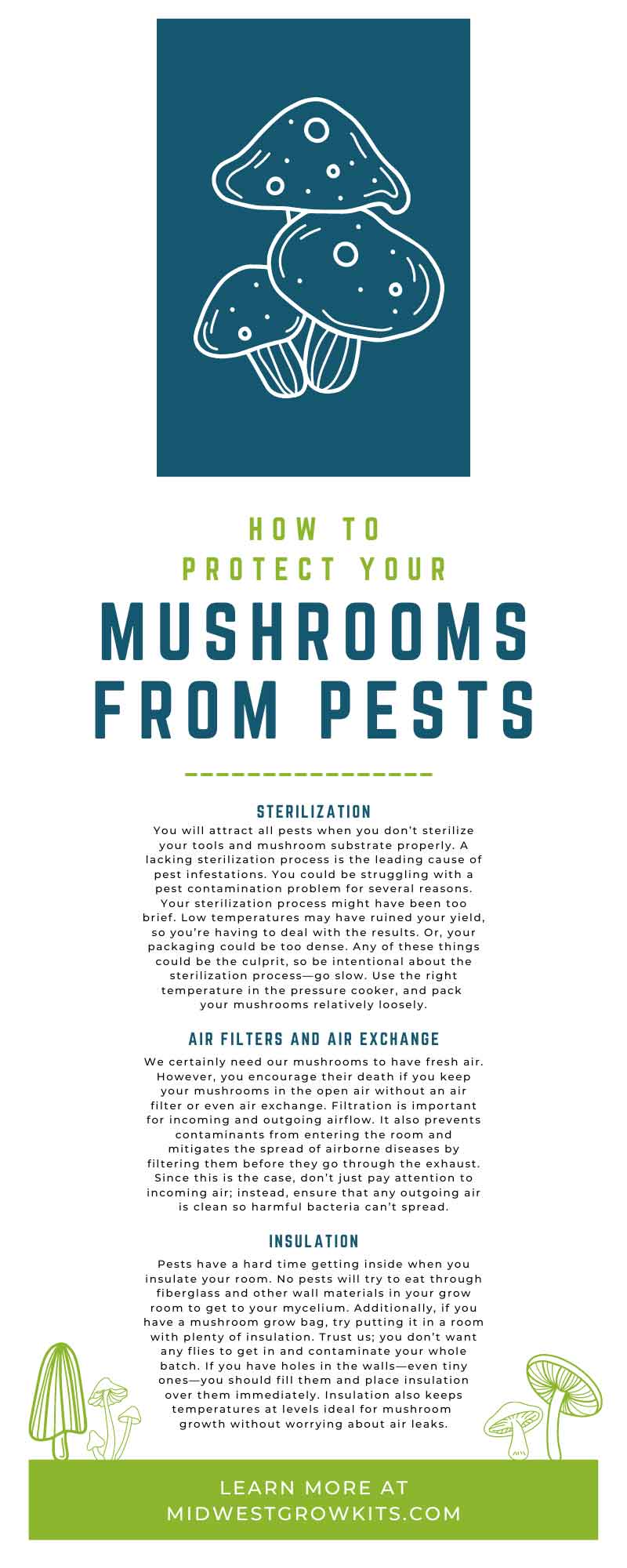How To Protect Your Mushrooms From Pests