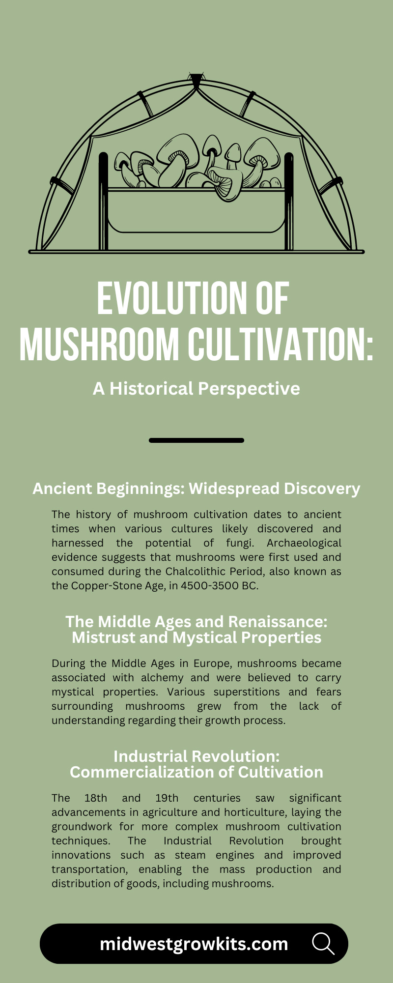 Evolution of Mushroom Cultivation: A Historical Perspective