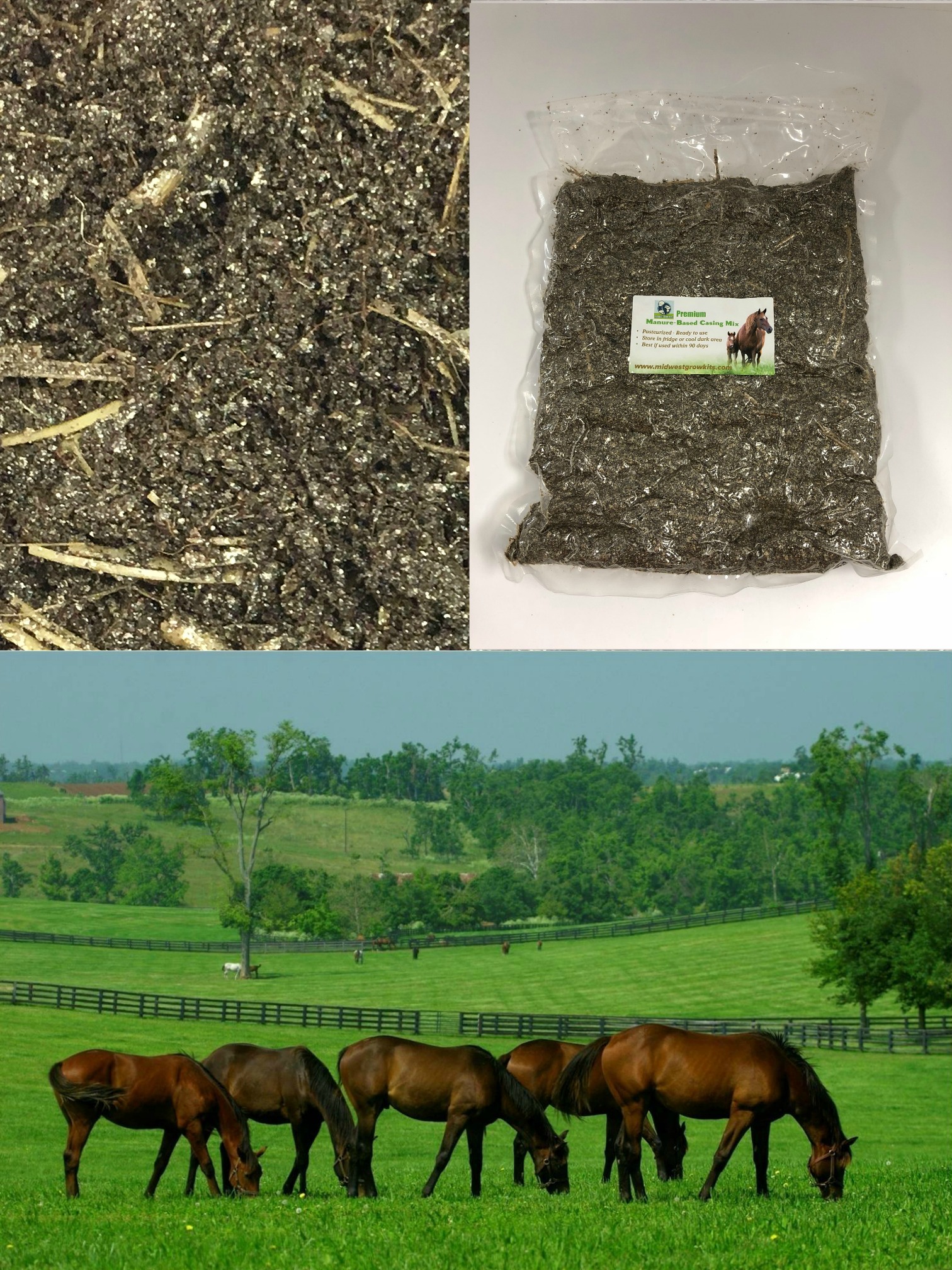 Horse Manure Based Mushroom Substrate 20 Pounds at a Discount! 