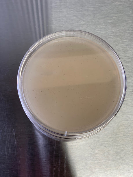 Learn AGAR Basics