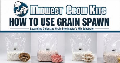 How to Use Grain Spawn with Master’s Mix Substrate