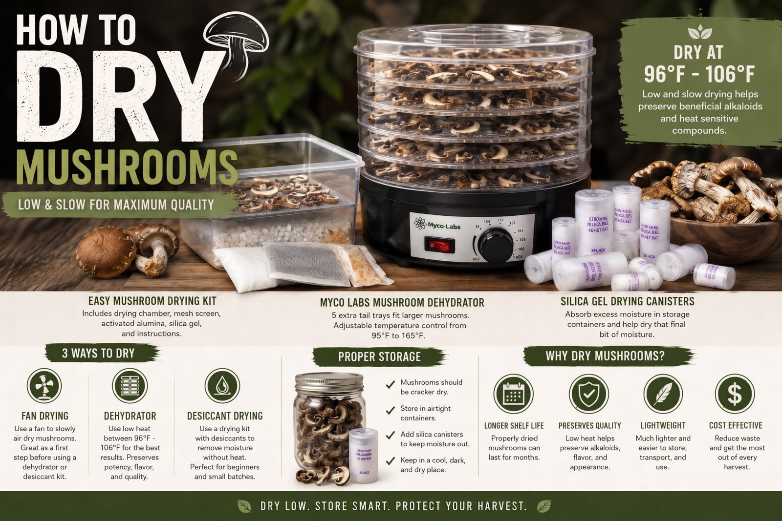 How to Dry Mushrooms: Dehydrator, Fan Drying & Storage Tips