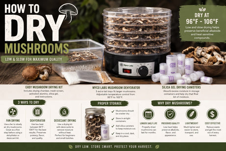 How to Dry Mushrooms: Dehydrator, Fan Drying & Storage Tips