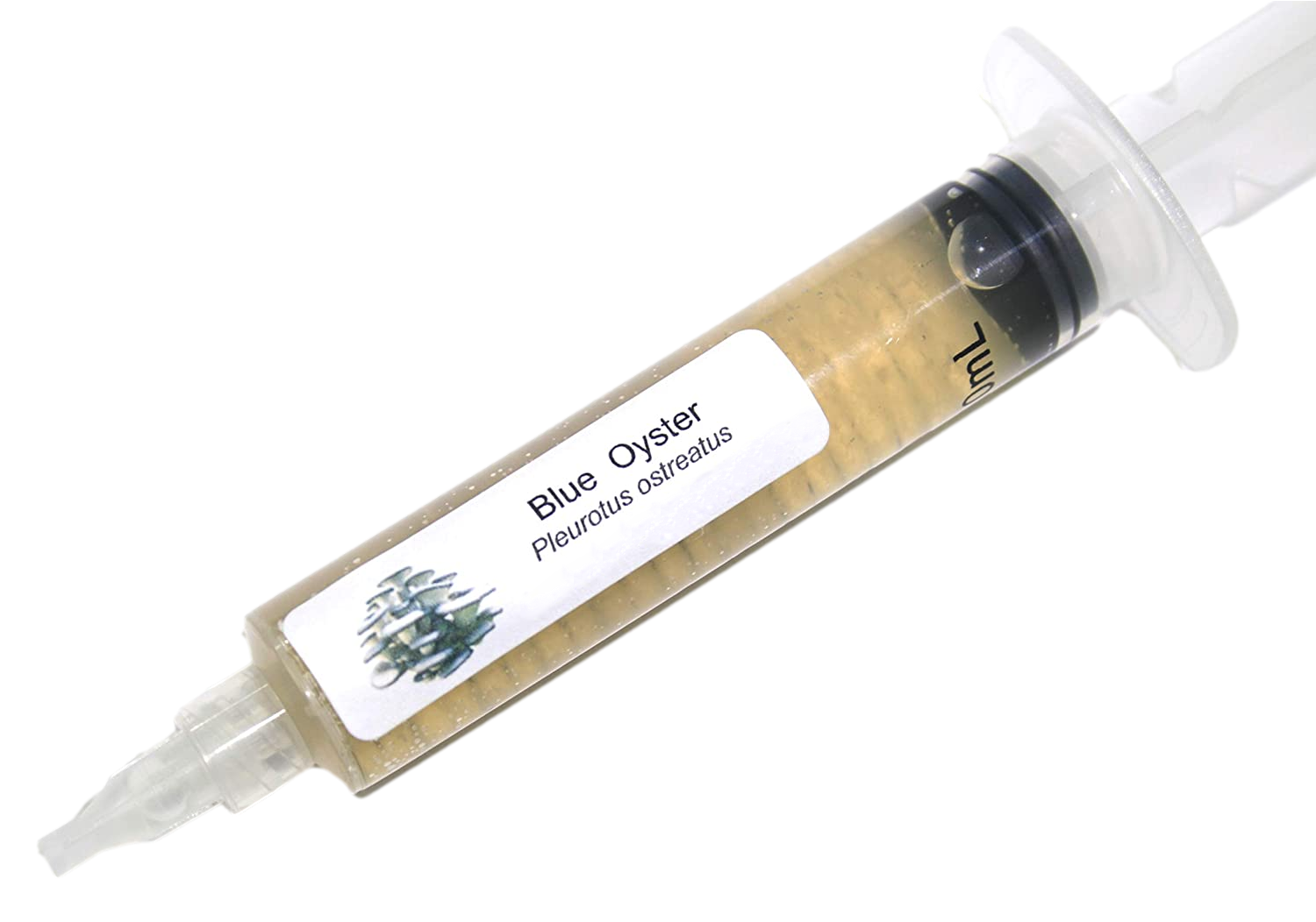 The Difference Between Liquid Culture & Spore Solution
