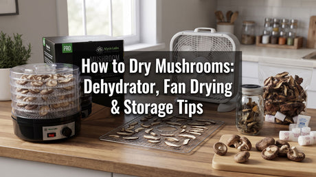 table with mushroom dehydrator and silica canisters with a bag of dried mushrooms