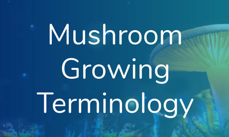 Mushroom Growing Terminology (Glossary)  **PINNED TO TOP**