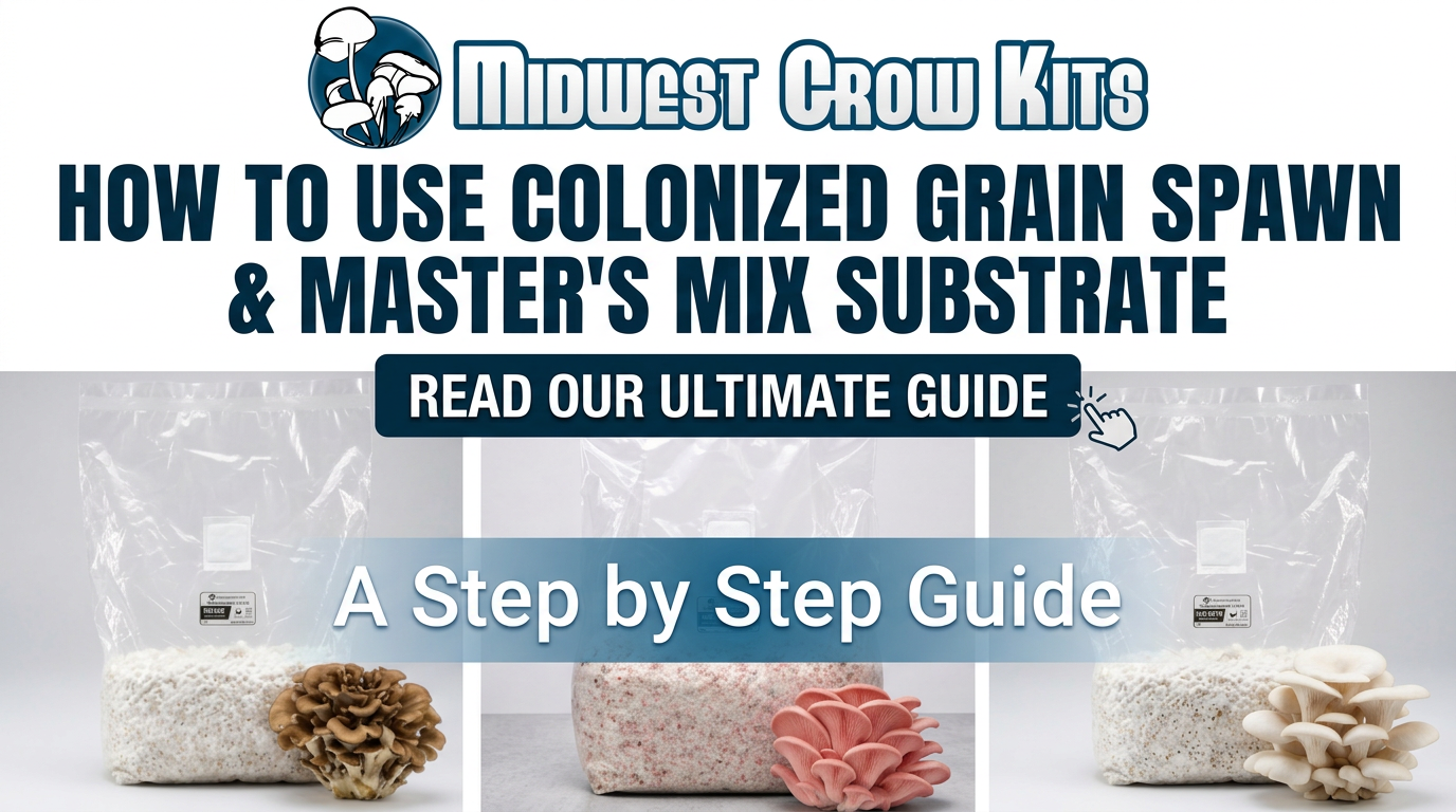 how to use colonized grain