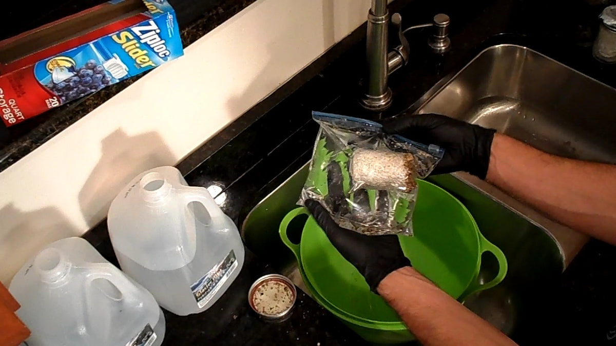 Dunking Tips – Midwest Grow Kits
