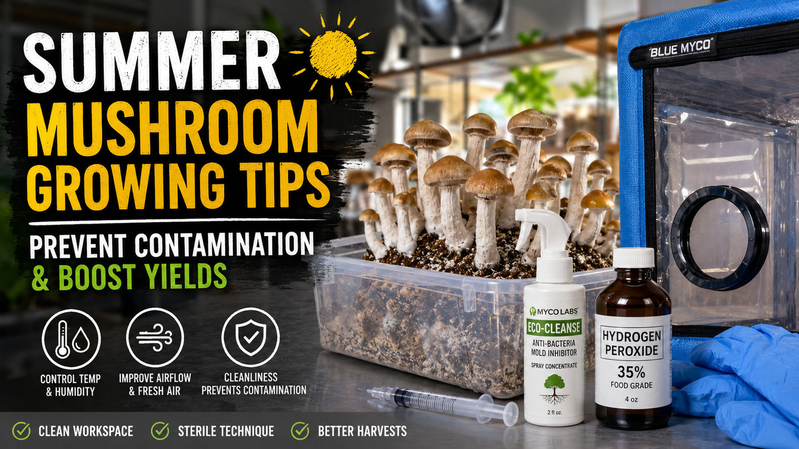 summer mushroom growing tips