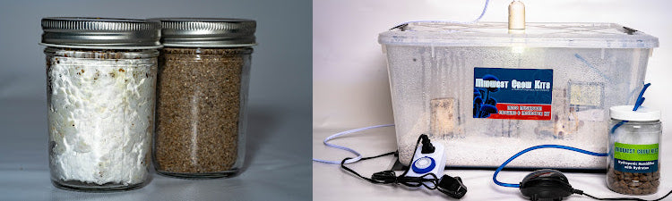 Classic Jar Grow Kits