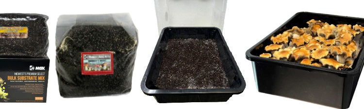 Substrate Growing | Bulk Growing | Midwest Grow Kits
