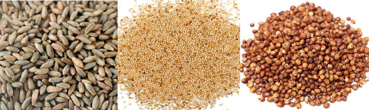 Bulk Dry Grain (All Dry Grains)