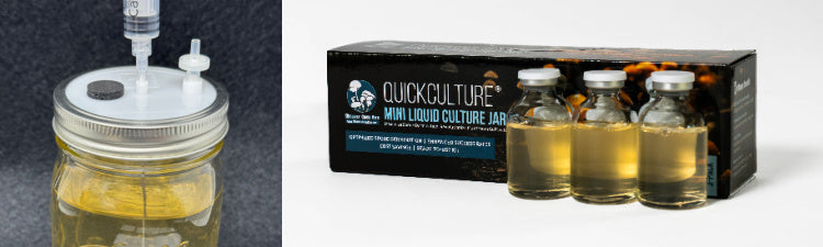 Liquid Culture Kits