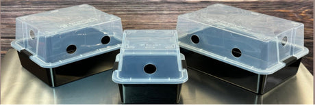Mushroom fruiting chambers with holes for filters to maintain perfect airflow. 3 sizes available