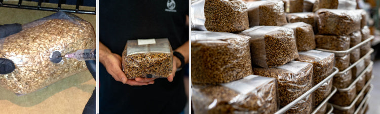 Spawn Bags | Spawn Grain Bags | Midwest Grow Kits