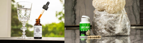 Mushroom Supplements