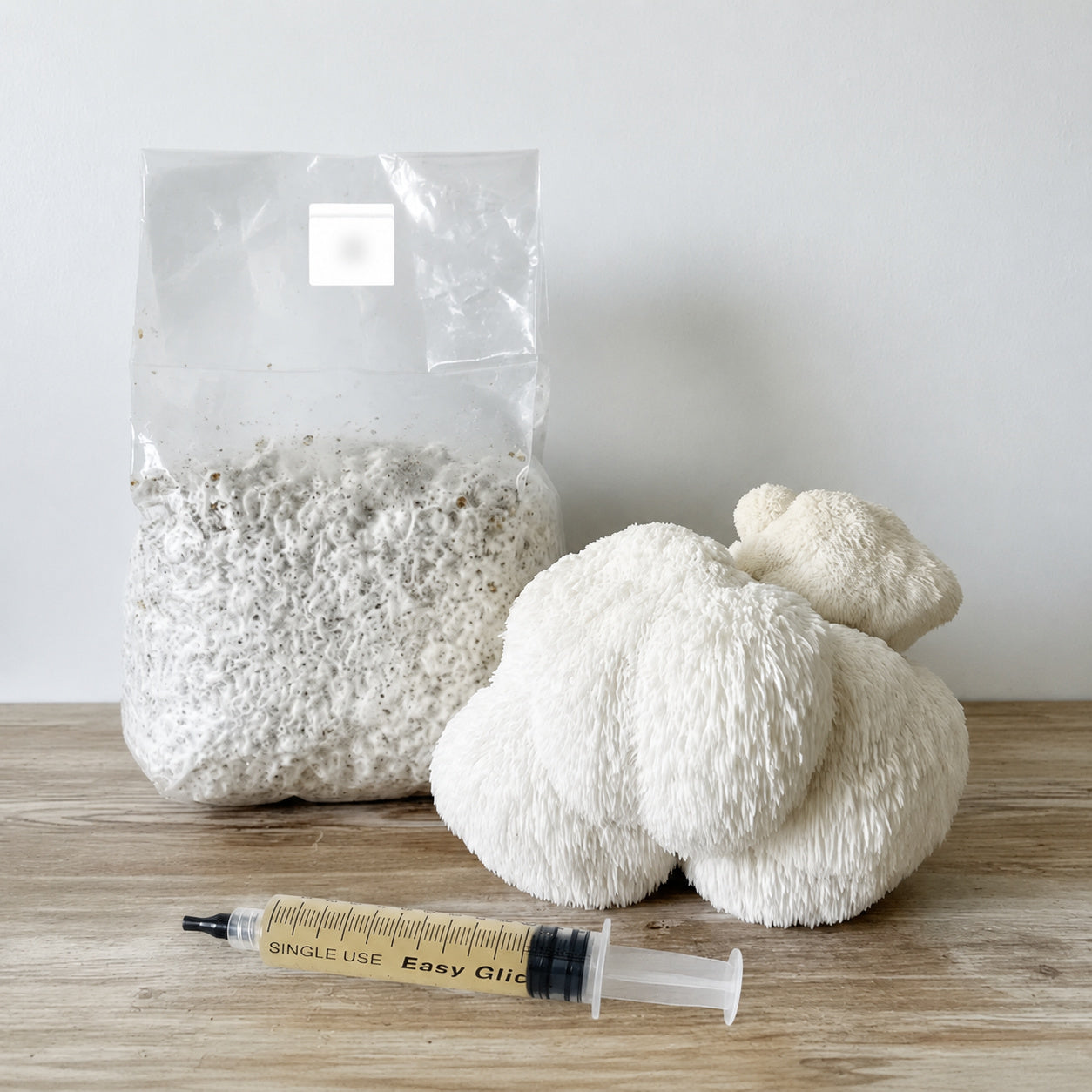 colonized lion's man grain spawn bag on table