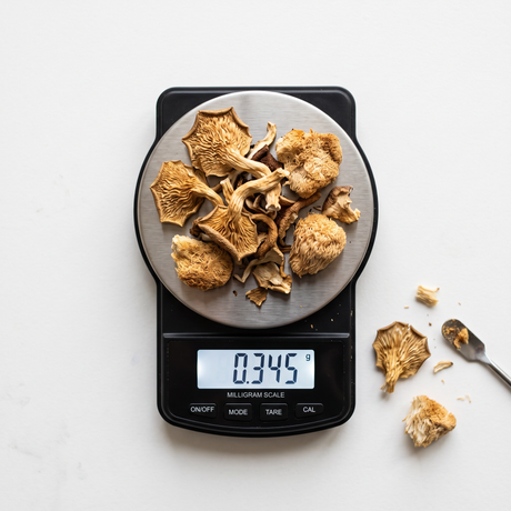 scale weighing dried mushrooms