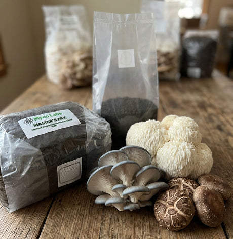 wood based mushroom substrate on wooden table.