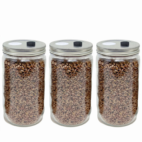 sterilized rye grain jars