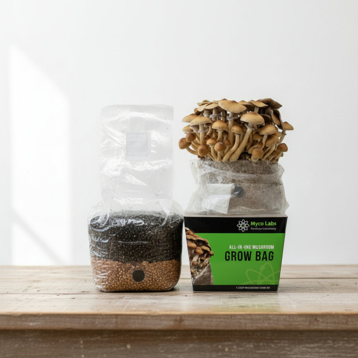 All-in-One Mushroom Grow Bag (4 lbs) for Manure Loving Mushrooms