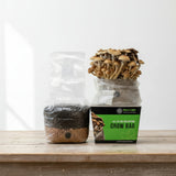 All-in-One Mushroom Grow Bag (4 lbs) for Manure Loving Mushrooms