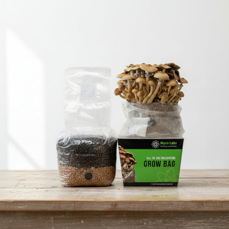 All-in-One Mushroom Grow Bag (4 lbs) for Manure Loving Mushrooms