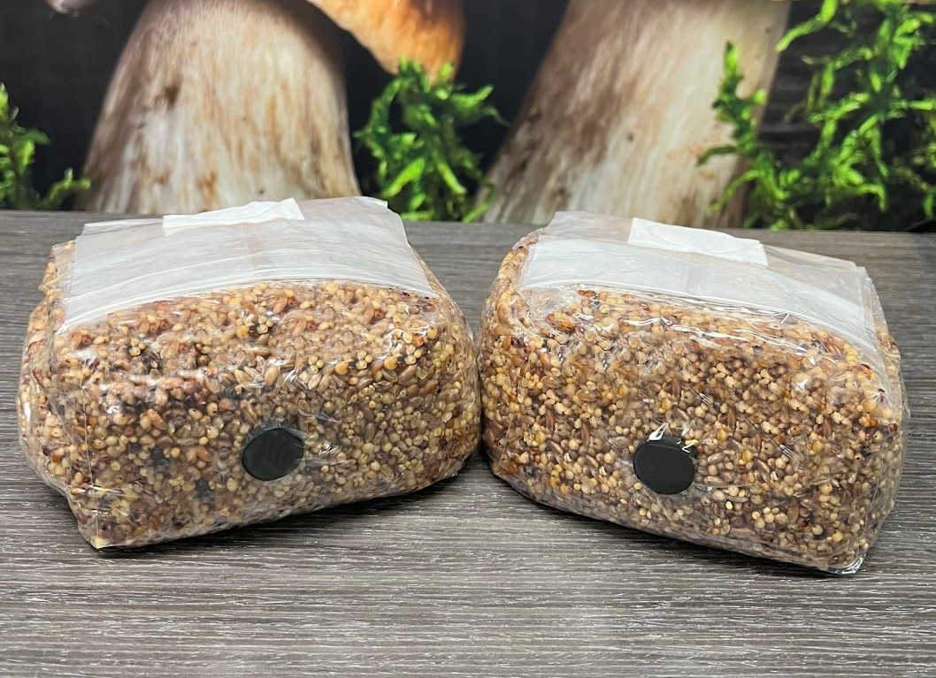 Premium 5-Grain Spawn Bags Retail