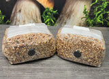 Premium 5-Grain Spawn Bags Retail